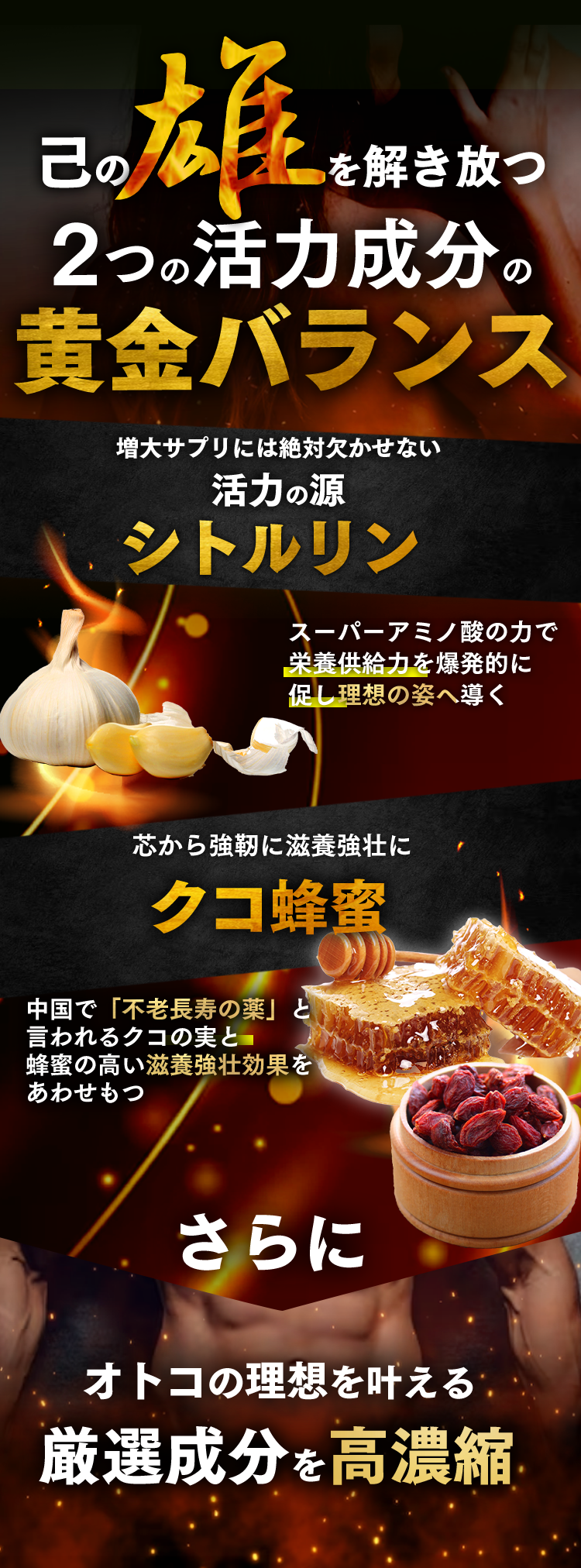 己の雄を解き放つ2つの活力成分の黄金バランス